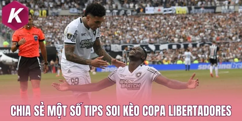 Chia sẻ một số tips soi kèo Copa Libertadores